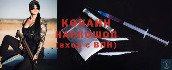 винт Абаза