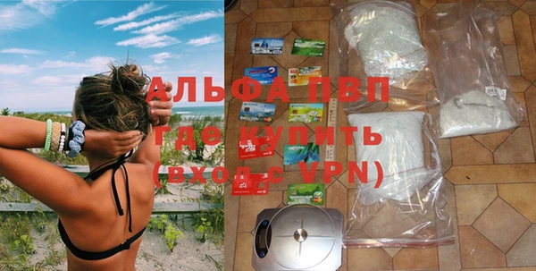винт Абаза