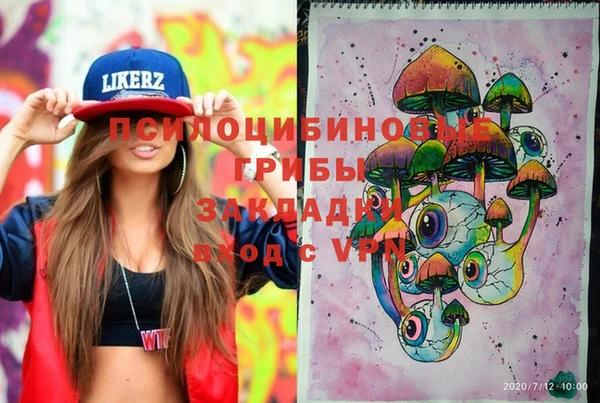 винт Абаза