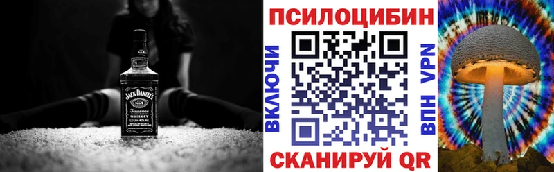 Псилоцибиновые грибы Psilocybe  где можно купить наркотик  Холмск 